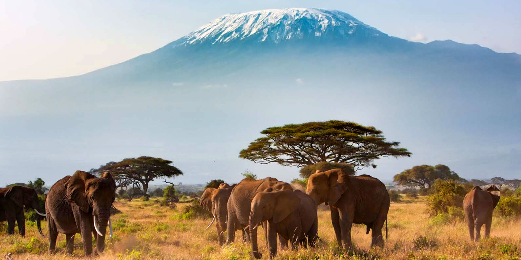 rich wildlife safari experience
