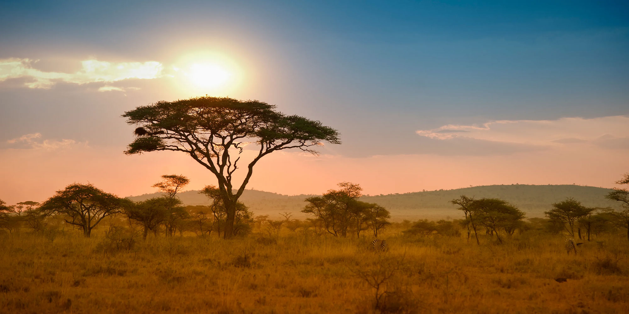 scenic and stunning landscape